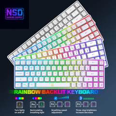 60% Wireless Gaming Keyboard and Mouse Combo,Led Backlit Rechargeable 2000Mah Battery,Mini Mechanical Feel Anti-Ghosting Keyboard +Popular RGB Gaming Mice for PC Gamer (White)