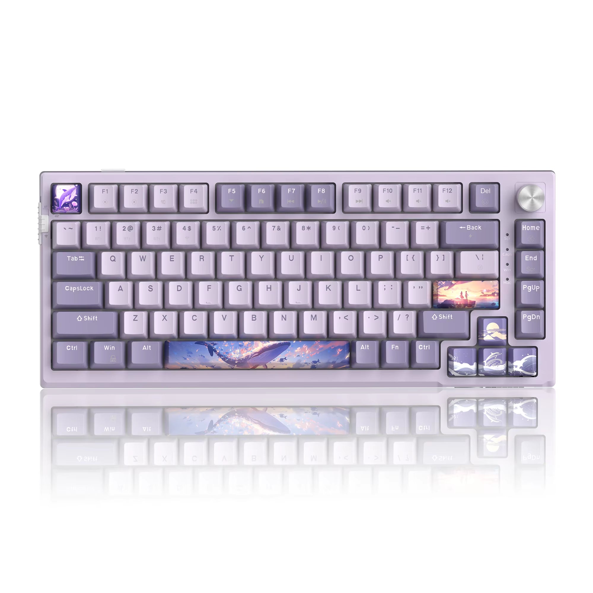 SKY81 75% Mechanical Gaming Keyboard, RGB Gasket Hot Swappable Wired Custom Creamy Sound Dampening Keyboard with Knob