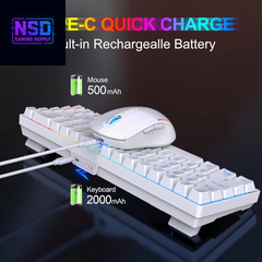 60% Wireless Gaming Keyboard and Mouse Combo,Led Backlit Rechargeable 2000Mah Battery,Mini Mechanical Feel Anti-Ghosting Keyboard +Popular RGB Gaming Mice for PC Gamer (White)