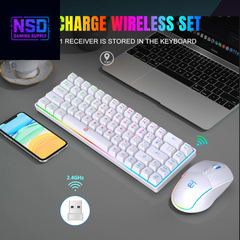 60% Wireless Gaming Keyboard and Mouse Combo,Led Backlit Rechargeable 2000Mah Battery,Mini Mechanical Feel Anti-Ghosting Keyboard +Popular RGB Gaming Mice for PC Gamer (White)